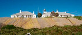 Montague Island Guided lighthouse Tour + Morning Tea With The Seals + Optional Guided Snorkel